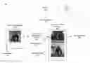 Fig. 01 - Training a neural network using augmented training datasets