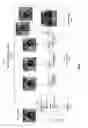 Fig. 04 - Training a neural network using augmented training datasets
