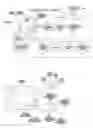 Fig. 01 - Image capturing apparatus and method of controlling image capturing apparatus