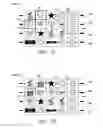 Fig. 09 - Gaming systems, devices and methods for dynamic symbol substitution