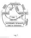 Fig. 06 - Doorway entry sentry auto caller