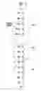 Fig. 11 - Memory device and operating method thereof