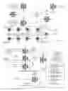 Fig. 01 - METHODS AND COMPOSITIONS FOR AIDING IN DISTINGUISHING BETWEEN BENIGN AND MALIGANNT RADIOGRAPHICALLY APPARENT PULMONARY NODULES