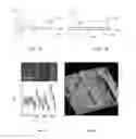 Fig. 02 - DIELECTRIC SUBSTRATE FOR SUPERCONDUCTIVE DEVICE AND SUPERCONDUCTIVE ARTICLE UTILIZING SUCH SUBSTRATE