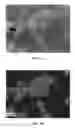 Fig. 04 - Ceramic sintered body and passive component including the same