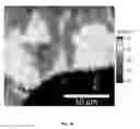 Fig. 06 - Directed growth of electrically self-contacted monolayer transition metal dichalcogenides with lithographically defined metallic patterns