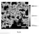 Fig. 22 - Directed growth of electrically self-contacted monolayer transition metal dichalcogenides with lithographically defined metallic patterns