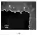 Fig. 35 - Directed growth of electrically self-contacted monolayer transition metal dichalcogenides with lithographically defined metallic patterns