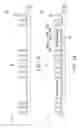 Fig. 02 - Package structure and manufacturing method thereof