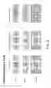 Fig. 09 - VeSFlash Non-Volatile Memory