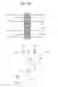 Fig. 07 - Organic light emitting display apparatus