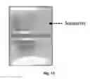Fig. 13 - Flexible display