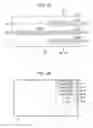 Fig. 16 - RECEPTION DEVICE, RECEPTION METHOD, AND PROGRAM