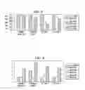 Fig. 06 - Dynamic medium switching for hybrid networks