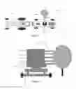 Fig. 07 - Systems and methods for delivering nucleic acids to a plant