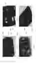 Fig. 08 - PET-TREAT DISPENSER