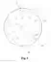 Fig. 02 - PLAYING DEVICE FOR PET