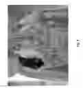 Fig. 09 - ORGAN REGENERATION METHOD UTILIZING iPS CELL AND BLASTOCYST COMPLEMENTATION