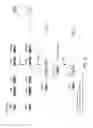 Fig. 06 - Genetically modified major histocompatibility complex mice