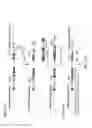 Fig. 09 - Genetically modified major histocompatibility complex mice