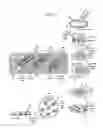 Fig. 02 - Microfluidic Embryo and Gamete Culture Systems