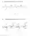 Fig. 01 - BACILLUS AND LIPOCHITOOLIGOSACCHARIDE FOR IMPROVING PLANT GROWTH