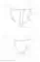 Fig. 09 - Suction tool and device and method for gutting fish opened at the abdominal cavity
