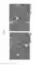 Fig. 04 - Method of producing protein-containing powder