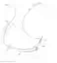 Fig. 01 - GARMENTS
