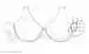 Fig. 01 - Undergarment clip