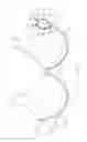 Fig. 02 - Undergarment clip