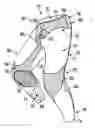 Fig. 01 - GARMENT WITH STRETCH AN RIGID PANELING