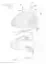 Fig. 03 - Protective helmet