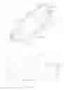 Fig. 02 - SHOE AND METHOD FOR CONTROLLING THE SHOE