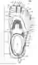 Fig. 03 - Three toed footwear