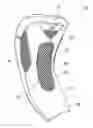 Fig. 01 - TONGUE FOR A SKATE BOOT