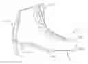 Fig. 01 - Athletic skate body