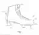Fig. 02 - Athletic skate body