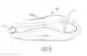 Fig. 09 - Athletic skate body
