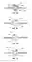 Fig. 08 - Jewelry spring ring clasp assembly
