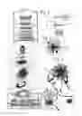 Fig. 02 - Reusable Multipurpose Decorative Ornaments