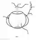 Fig. 02 - Natural Drinking Training Apparatus and Training System Facilitating Normal Development of Oral Postures, Oral Movements, and Jaw/Mouth Anatomy