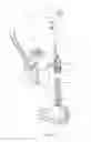 Fig. 07 - Surface cleaning apparatus