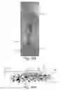 Fig. 07 - Cleaning articles including scouring bodies that form printed instructions