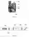 Fig. 12 - Non-invasive detection of skin disease