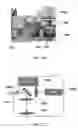 Fig. 13 - Non-invasive detection of skin disease