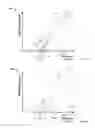 Fig. 06 - Neuromonitoring systems and methods