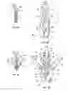 Fig. 06 - Grasping for tissue repair