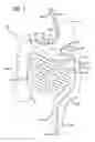 Fig. 02 - Incisionless gastric bypass system