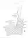 Fig. 01 - Ultrasonic surgical instruments